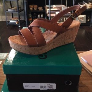 Chocolat Blu Ward Size 10